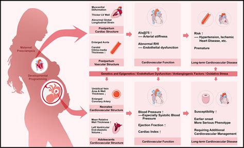 Long-term implications of preeclampsia