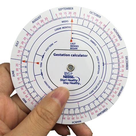 Pregnancy Birth Date Calculation