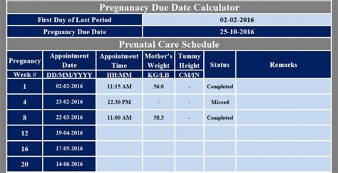 Pregnancy Birth Date and Prenatal Care
