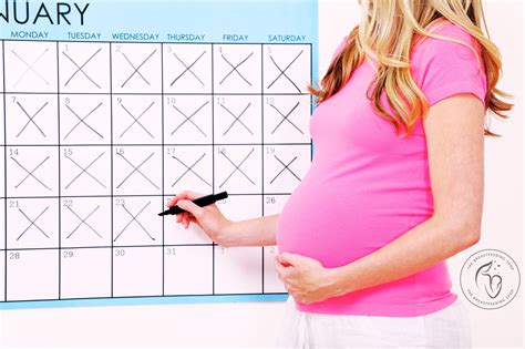 Pregnancy Due Date Calculation