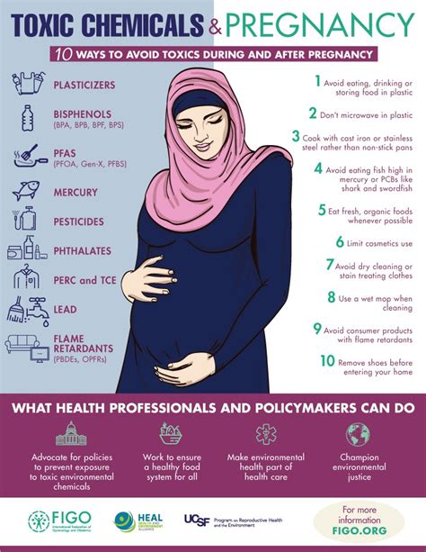 Environmental exposures to avoid during pregnancy