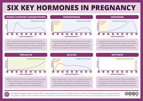 pregnancy hormones at 5 weeks