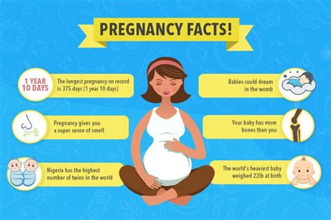 Pregnancy Information