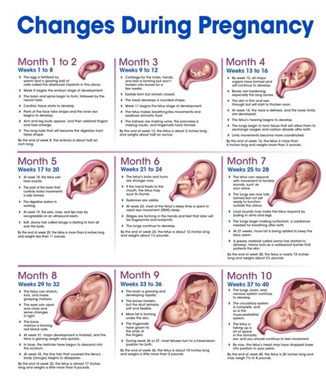 pregnancy journey