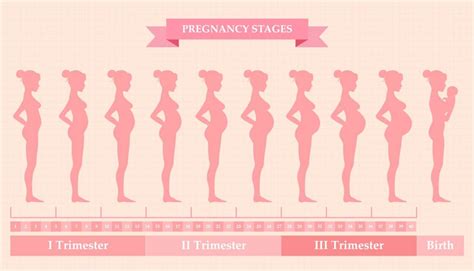pregnancy journey