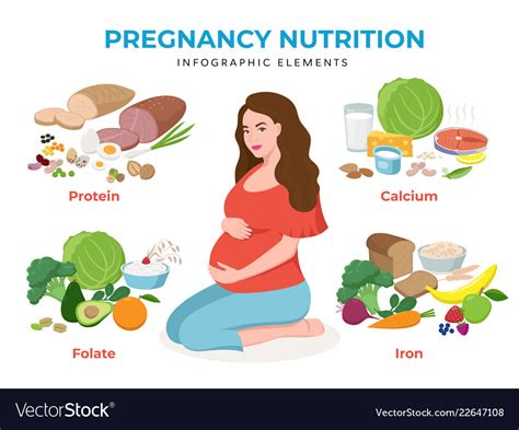 pregnancy nutrition