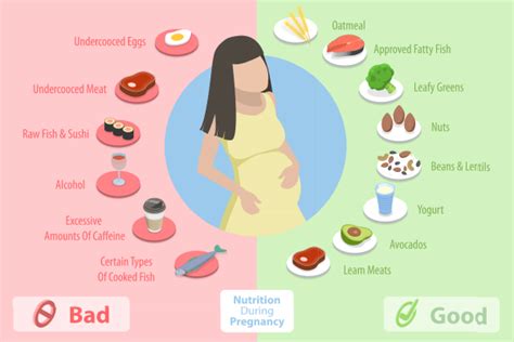 Pregnancy Nutrition and Lifestyle