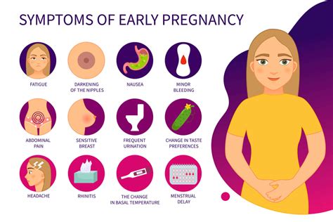 Pregnancy Symptoms by Trimester