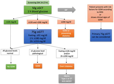 Prenatal Glucose Test Process