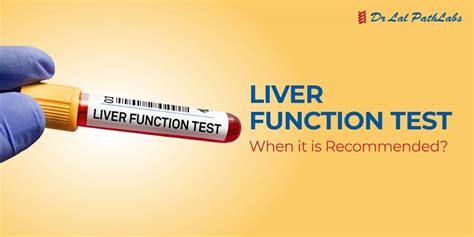 Preparing for Liver Function Tests