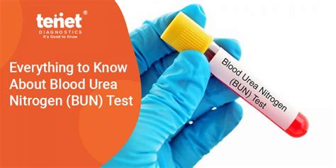 preparing for the lab bun blood test