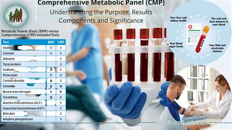 preparing metabolic panel test