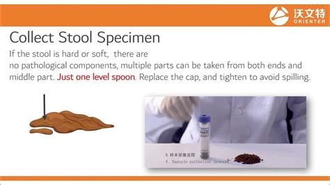 preparing stool sample test