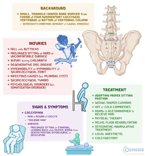 Preventing Broken Coccyx