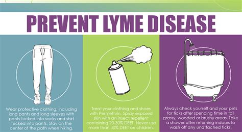 prevention of lyme disease