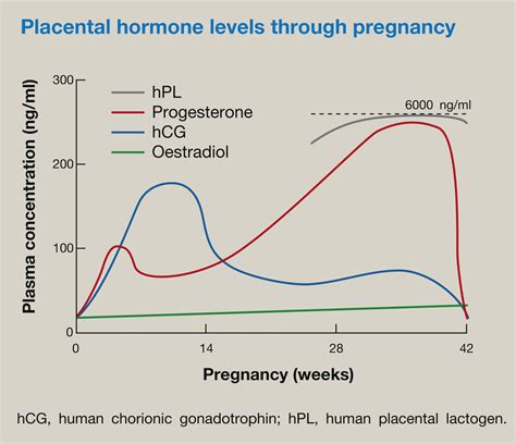 Progesterone Breastfeeding