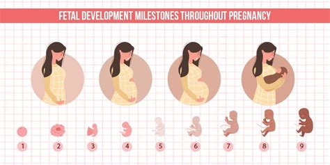 Promoting Healthy Fetal Growth