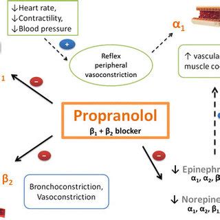 propranolol mechanism of action
