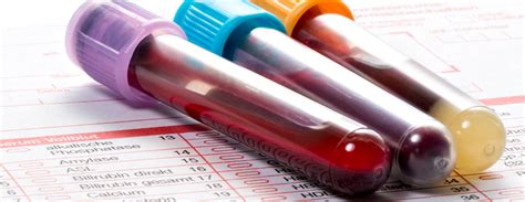 protein in blood test