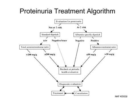 Proteinuria Treatment