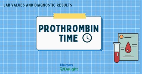 Prothrombin Time Test