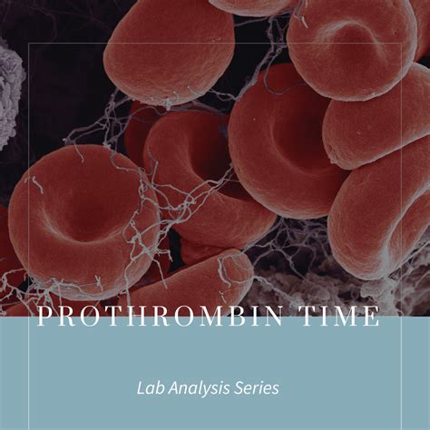 Prothrombin Time Test and Pregnancy