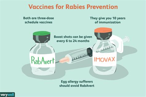 Rabies Virus Vaccine Precautions and Contraindications
