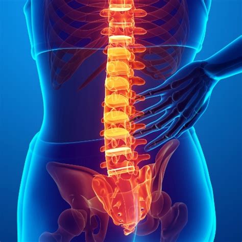 recovery and rehabilitation