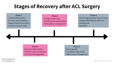 Recovery timeline