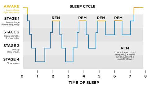 REM Cycle Length and Sleep Disorders