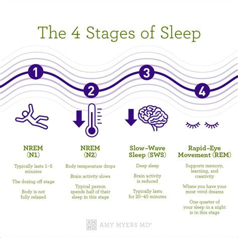 REM sleep stages