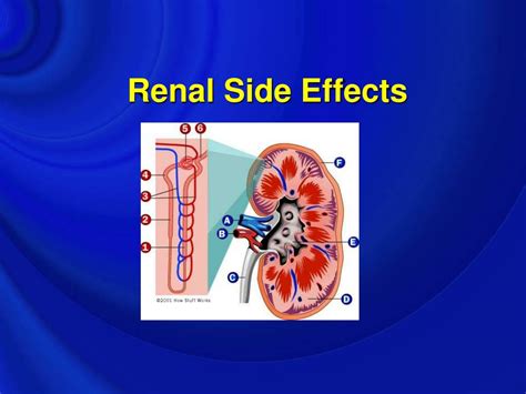 renal side effects