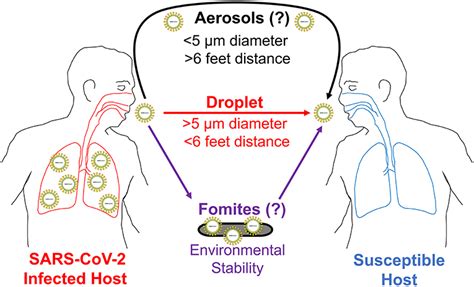 Respiratory Droplet Transmission