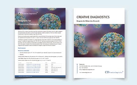 Rhinovirus Research and Development