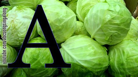 right cabbage