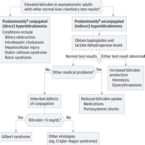 Risks Associated with High Bilirubin Levels