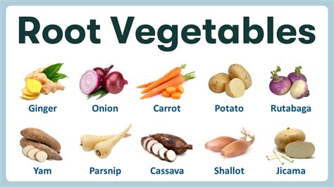 root vegetables