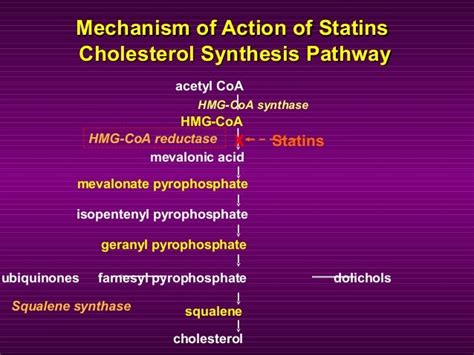 Rosuvastatin Mechanism of Action