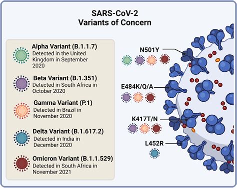 SARS-CoV-2