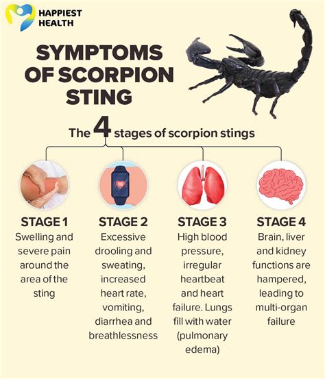 scorpion sting symptoms