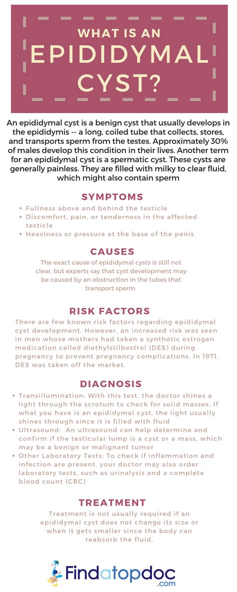 Scrotum Cyst Symptoms