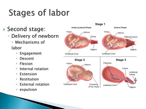Second Stage Labor