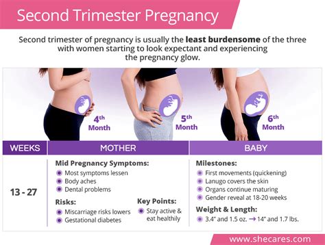 second trimester pregnancy symptoms
