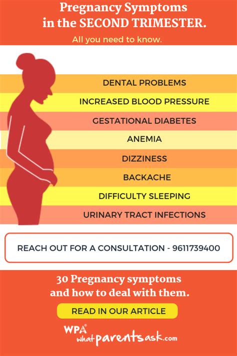 Second Trimester Symptoms and Changes