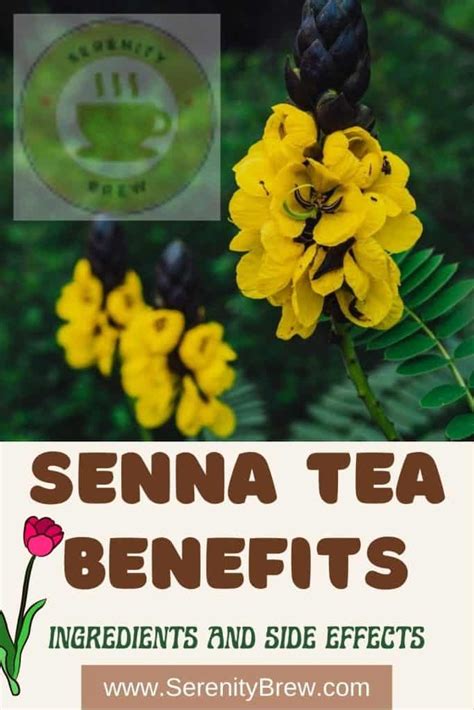 senna tea benefits