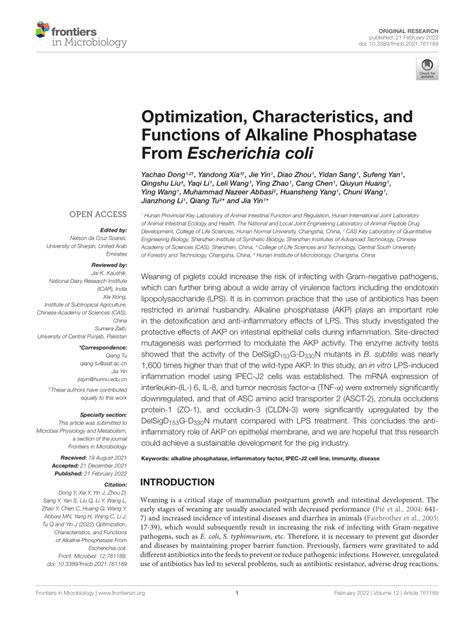 SEO Optimization for Alkaline Phosphatase