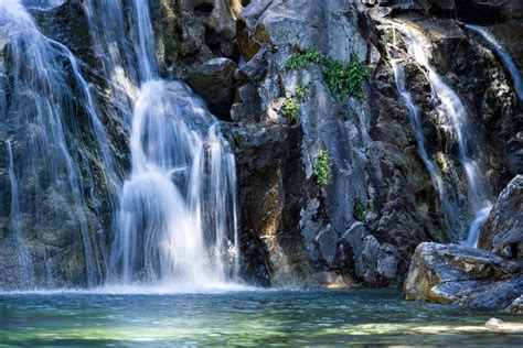 Shasta's Unique Attractions