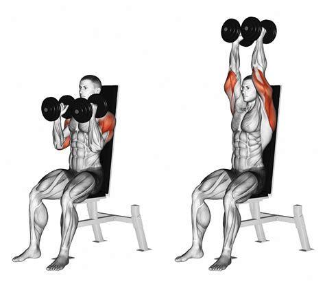 shoulder press