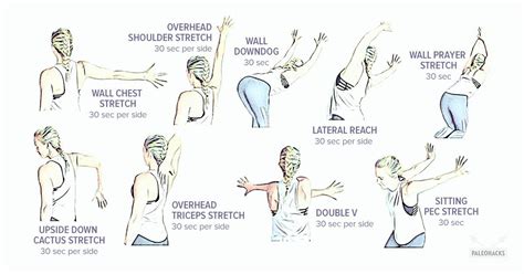 Shoulder Stretches