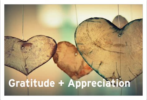 show appreciation and gratitude